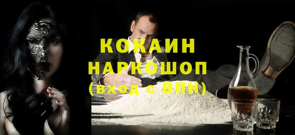 PSILOCYBIN Кукмор