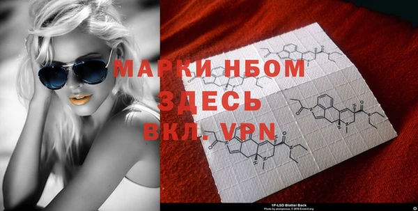 PSILOCYBIN Кукмор