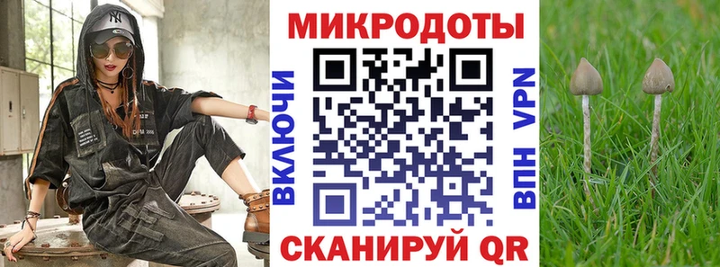 Псилоцибиновые грибы Cubensis  что такое   Лагань 